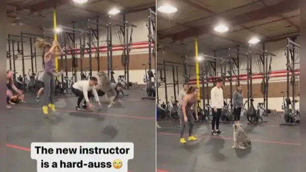 Perrito va con su dueña al gimnasio e imita toda la rutina de ejercicios: “Tiene más físico que yo”
