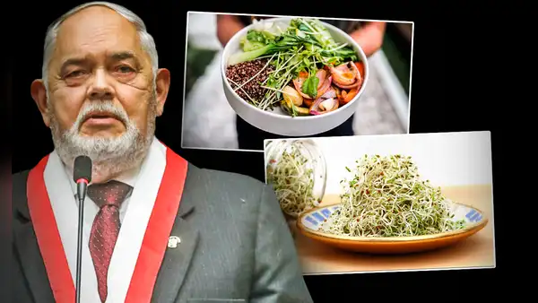 ¿Comida de tercera? Conoce estas 3 recetas fáciles y nutritivas con alfalfa
