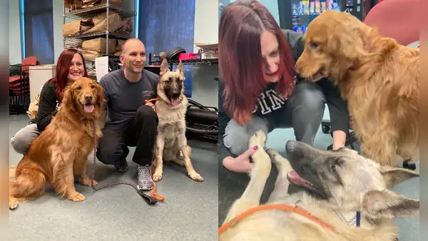 Perrito que sobrevivió a disparo fue adoptado por policía que lo socorrió