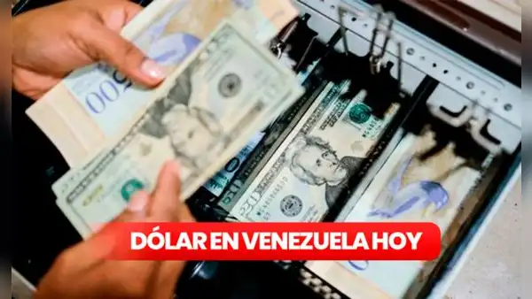 DolarToday y Monitor Dólar: precio del dólar paralelo HOY, sábado 25 de febrero, en Venezuela