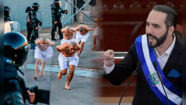 A rastras y semidesnudos: así fue el impresionante traslado de 2.000 pandilleros a megacárcel en El Salvador
