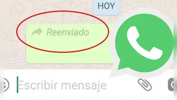 ¿Cómo reenviar fotos y memes en WhatsApp sin que aparezca la etiqueta de 'reenviado'?