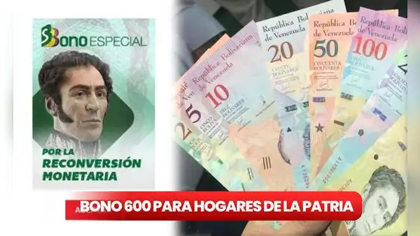 Bono de 600 para Hogares de la Patria: ¿qué se sabe del subsidio y cuándo fue el último pago?