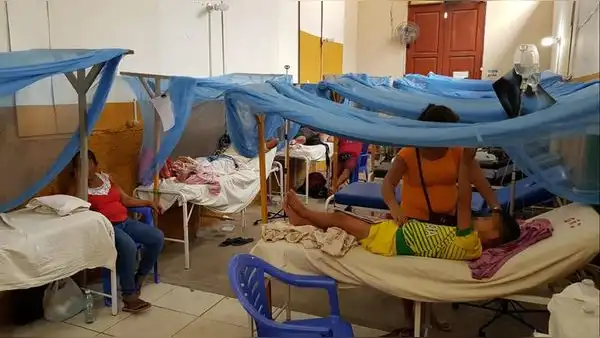 Niños son más vulnerables a cuadros agudos por dengue, alertó Hospital Santa Rosa
