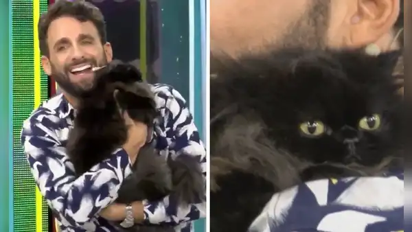 Rodrigo González sorprendió al aparecer EN VIVO junto a su gatita y generó ternura
