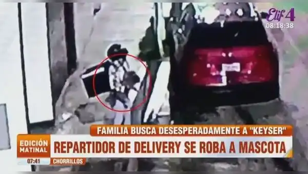 Chorrillos: repartidor de delivery acude a dejar pedido y se roba a mascota de familia