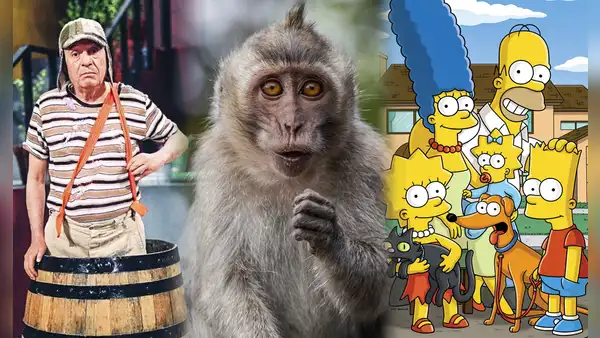 "Matanga dijo la changa": el oscuro origen de la frase que replicó "El Chavo del 8" y "Los Simpson"