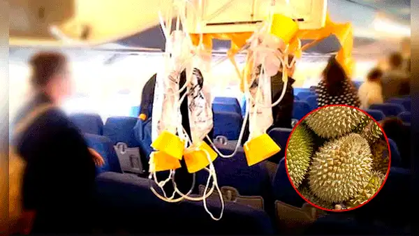 Avión regresó de urgencia al aeropuerto por el fuerte olor de una fruta asiática