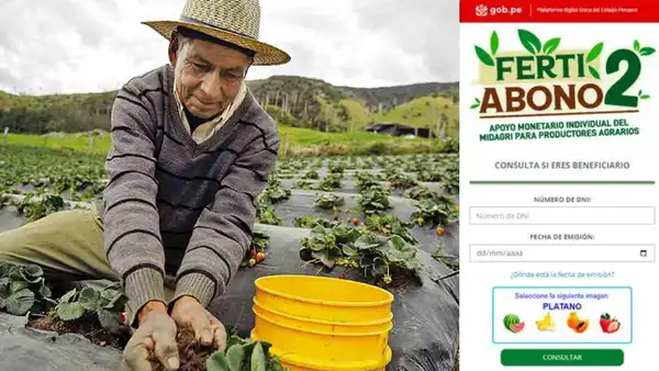FertiAbono II 2023: revisa aquí el cronograma de pagos para cobrar el subsidio según tu DNI