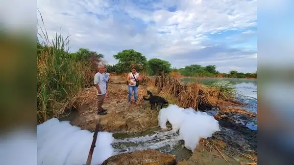 Piura: denunciaron colapso en las lagunas de oxidación