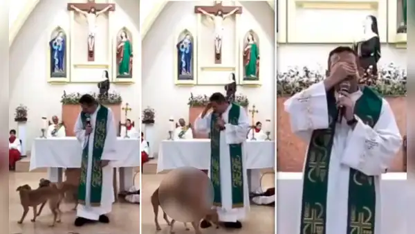 Perros intentan aparearse en medio de una misa y cura reacciona: "No han sido bautizados"