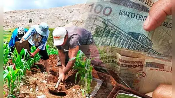 Fertiabono: más de 600.000 productores son beneficiados con el apoyo monetario