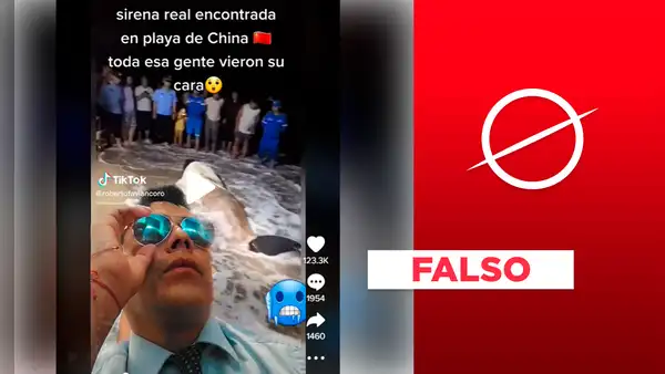 No, "sirena varada" en China no fue captada en video: se trata de una ballena