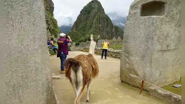 Se duplica el número de visitantes a ciudadela  inca de Machupichu