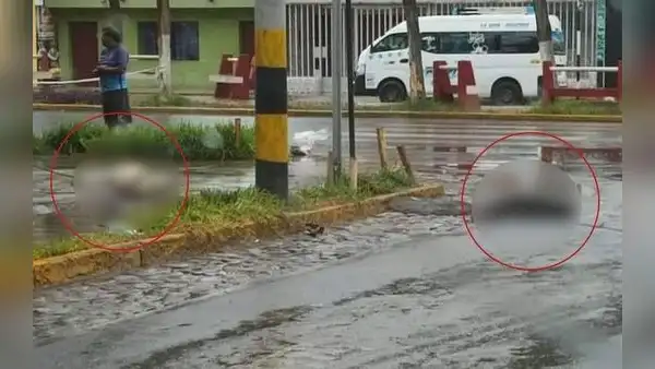 Dos perros mueren electrocutados tras pisar cables mojados por las lluvias en Trujillo