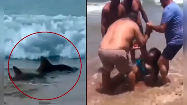 Tiburones salen a la orilla y atacan a 2 adolescentes: se les amputó un brazo y una pierna