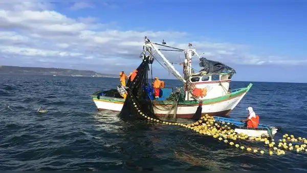 Proponen que trabajadores del sector pesca accedan a una jubilación anticipada