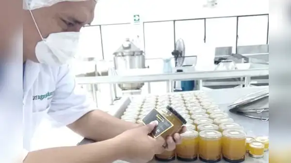 Produce autoriza transferencia de más de S/1 millón a proyectos de innovación empresarial