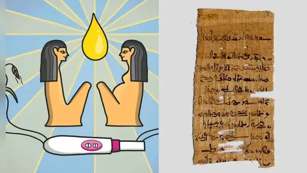 Test de embarazo en el antiguo Egipto: ¿qué pruebas realizaban para confirmar la gestación?