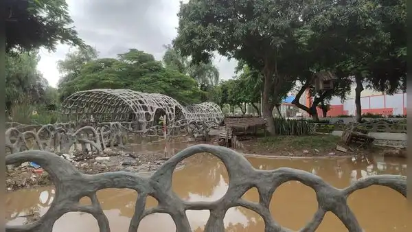 Peces y tortugas son encontrados muertos tras intensas precipitaciones en Trujillo