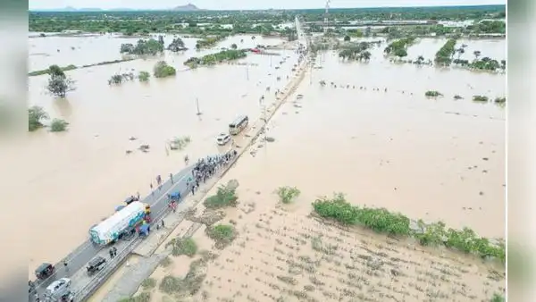Río Reque se desbordó y afectó a más de 500 hectáreas de cultivos en Lambayeque