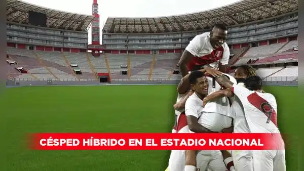 ¿Qué es el césped híbrido, el nuevo gramado que lucirá el Estadio Nacional en el Mundial Sub-17?