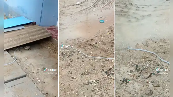 "Lo busca la NASA": peruano usa curioso truco para evitar inundación de su casa por lluvias