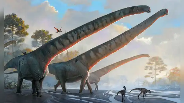 Fósil de dinosaurio con cuello de 15 metros desconcierta a los científicos