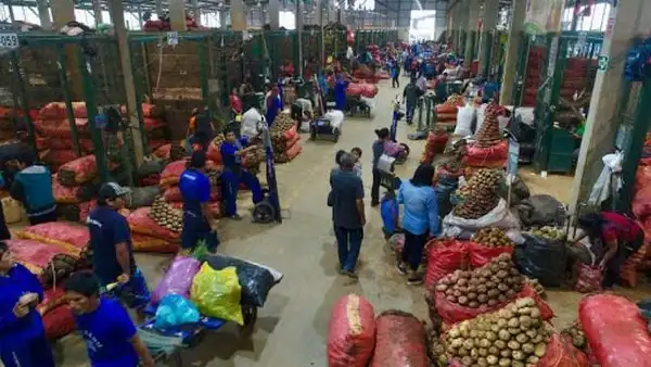 Gran Mercado Mayorista de Lima: ¿qué alimentos bajaron de precio este jueves?