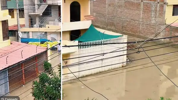 "Pensamos que estaba loco": hombre evitó inundación de su casa con sacos terreros