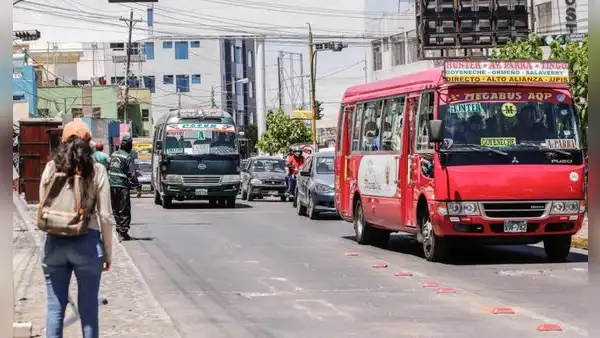 Arequipa: exregidor sostiene que hay argumentos para cancelar contratos del SIT