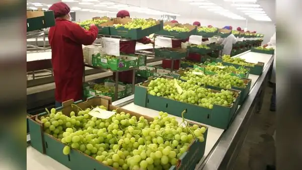 Agroexportaciones peruanas llegaron a US$887,8 millones y cayeron 2,6% en enero del 2023
