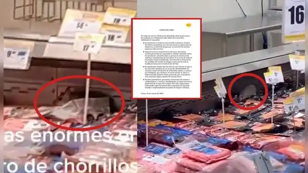 Metro asegura que presencia de roedores en su sede se debería a falla en alcantarillado por huaicos