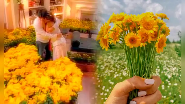 Flores amarillas: ¿por qué se regalan el 21 de marzo y qué significan?