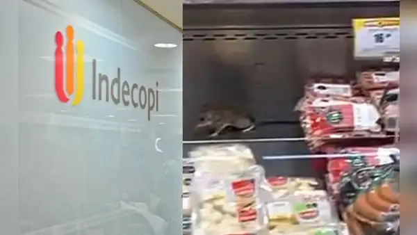 Indecopi inició fiscalización a Cencosud tras reporte de roedores en Metro de Plaza Lima Sur