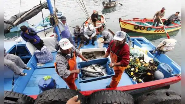 Produce no concreta el proceso de formalización de casi 1.000 embarcaciones pesqueras