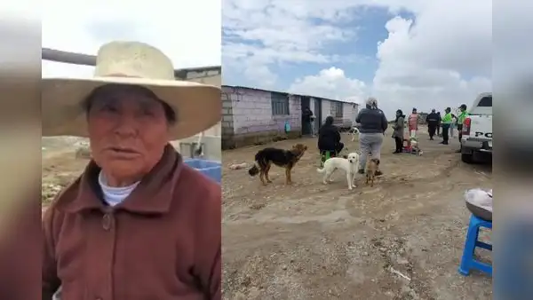 Roban olla común y anciana llora porque no prepararon almuerzo en Arequipa