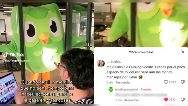 Cuenta de Duolingo en español trolea a usuaria por memoria de celular: "Para TikTok sí tienes espacio"
