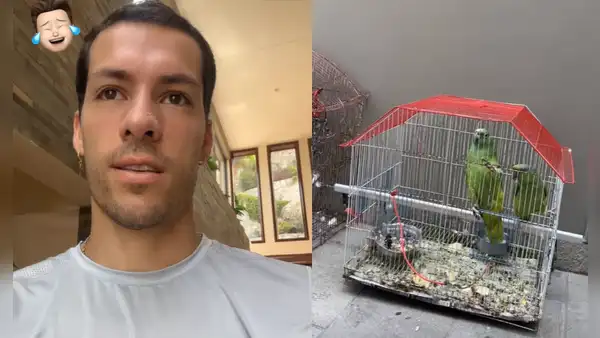 ‘Pato’ Parodi presume a los loritos que rescató su papá: “A ver, háblenme”