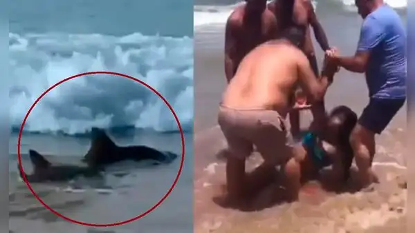 Tiburones salen a la orilla y atacan a 2 adolescentes: se les amputó una pierna y un brazo