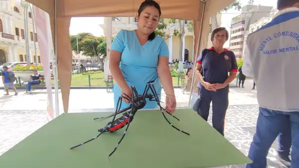 En Lambayeque se registra más de 560 casos de dengue