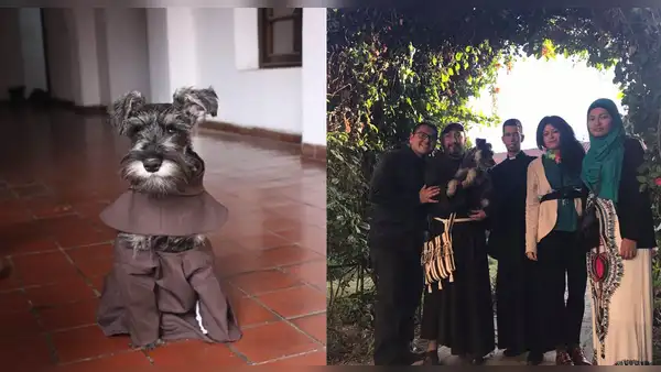 “Fray Bigotes”: monjes adoptan a perrito que fue abandonado y se hace viral en redes sociales
