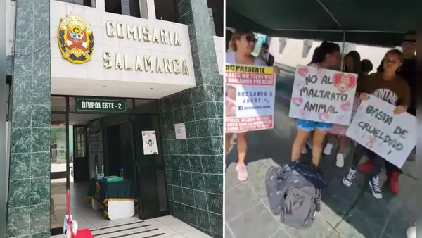 "Hay videos y audios desgarradores": vecinos denuncian tortura de 16 perros en una casa de Ate