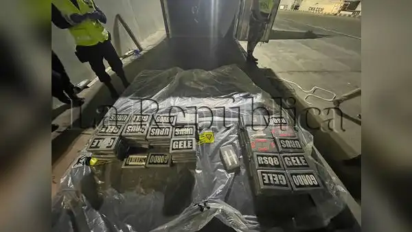 Piura: incautan 200 kilos de cocaína camuflada en cargamento de paltas, cuyo destino era Holanda