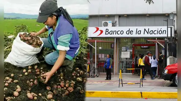 FertiAbono 2, LINK oficial: ¿cómo saber con mi DNI si soy beneficiario del subsidio y cuándo pagan?