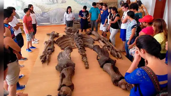 La verdad sobre los "gigantes de 7 metros" encontrados en Ecuador
