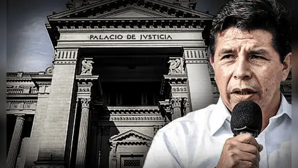 Pedro Castillo: audiencia de apelación a prisión preventiva por organización criminal será este miércoles