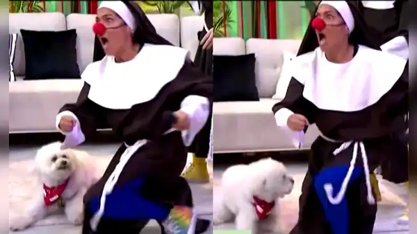 Katia Palma pasó gran susto al ser mordida por perrita de Fernando Díaz en vivo