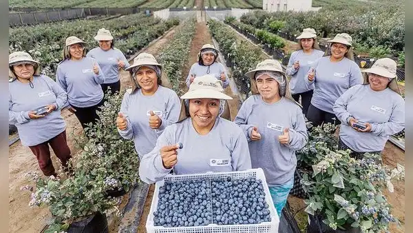 Congreso impulsa ley que modifica régimen agrario