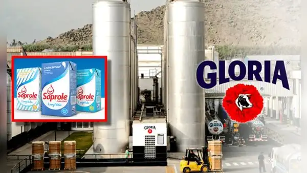 Gloria concreta exitosa compra de Soprole y toma control de la marca líder del mercado lácteo en Chile